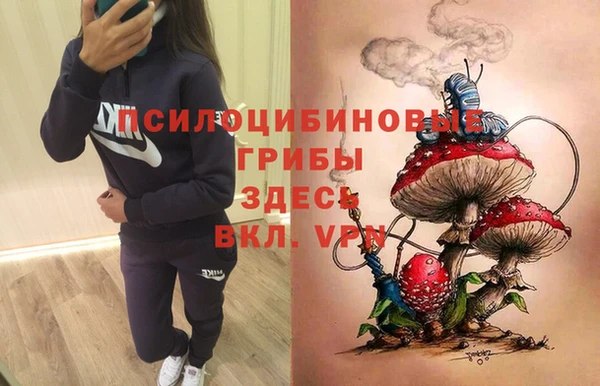 мяу мяу мука Армянск