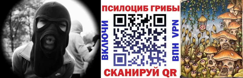 Псилоцибиновые грибы GOLDEN TEACHER где купить Константиновск